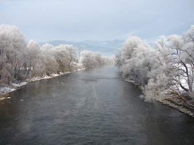 River Mur January